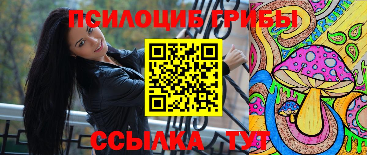 Галлюциногенные грибы Psilocybine cubensis Дубна