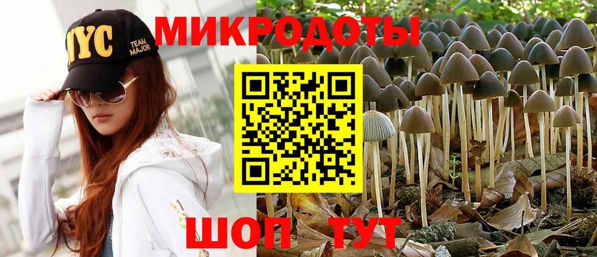 Дубна  Псилоцибиновые грибы мухоморы  Псилоцибиновые грибы мицелий  Вход с VPN 