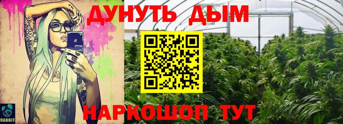 Меф Дубна