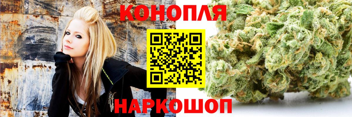 Конопля OG Kush Дубна